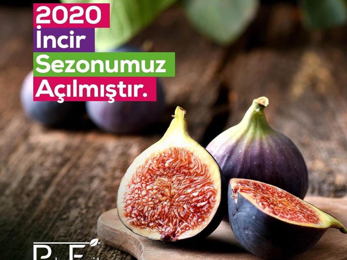 2020 İncir Sezonu Başladı